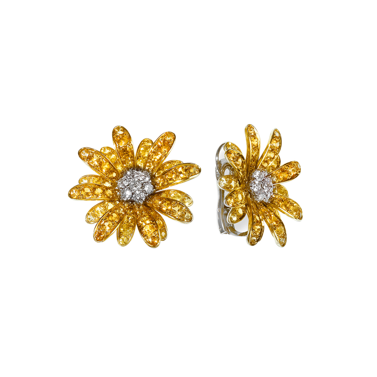 Yellow Sapphire Daisy Earrings in 18K White Gold